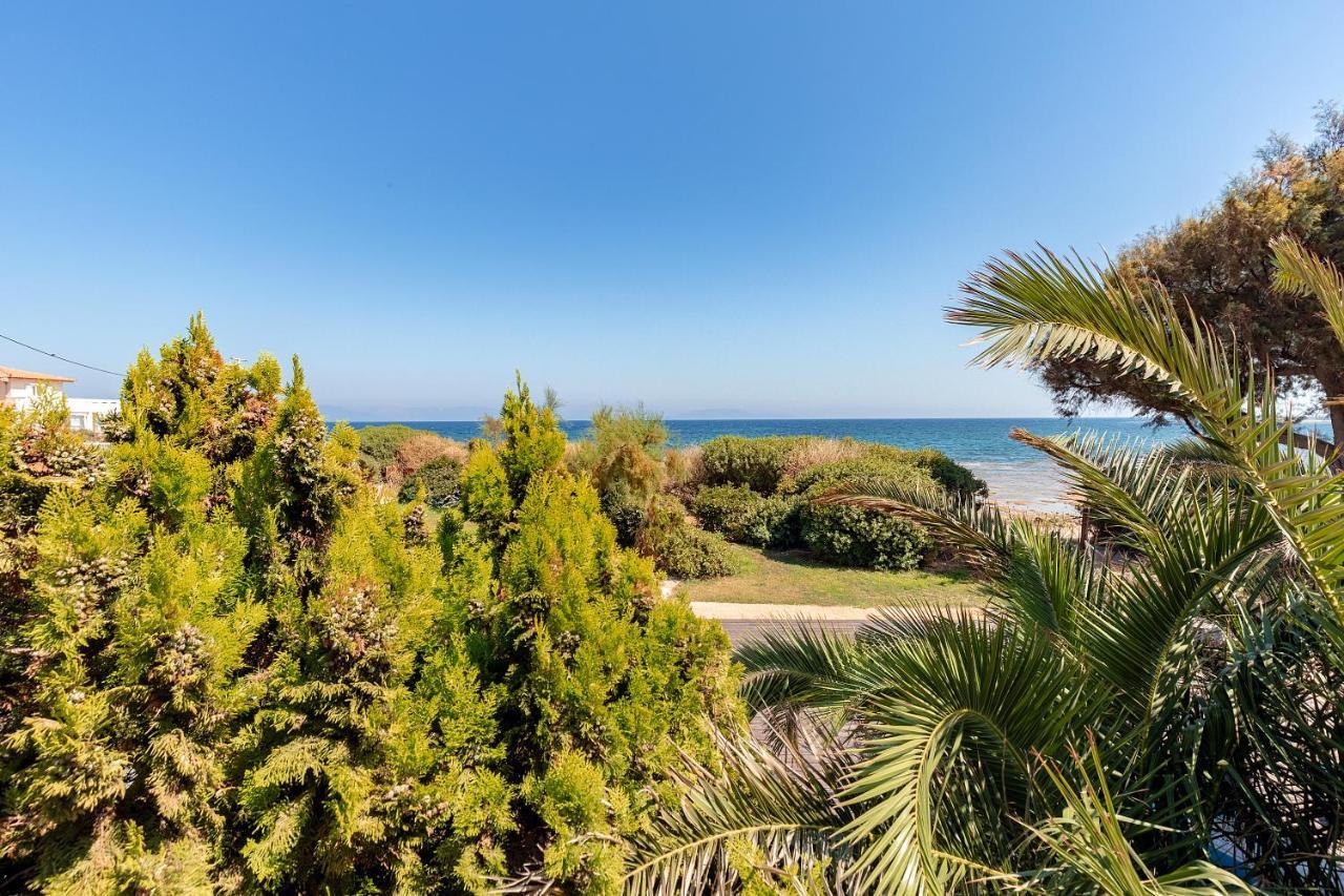 Windsurfing Seaside Apartment Artemida Exterior photo